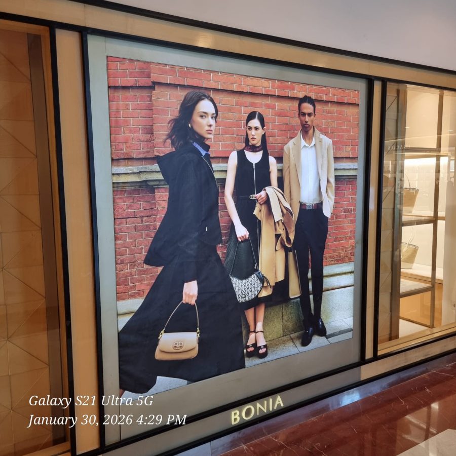 Hires Imaging (300x300 cm) SEG Fabric Lightbox
